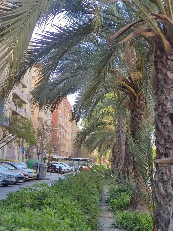 דירות אליקאנטה Casa De Mila מראה חיצוני תמונה